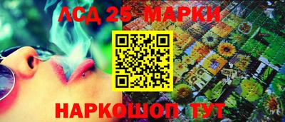 гидропоника Кингисепп