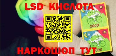 гидропоника Кингисепп