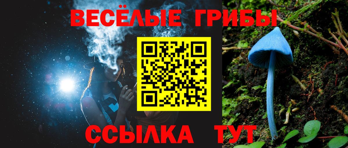 Коряжма  Галлюциногенные грибы ЛСД  Вход с VPN 