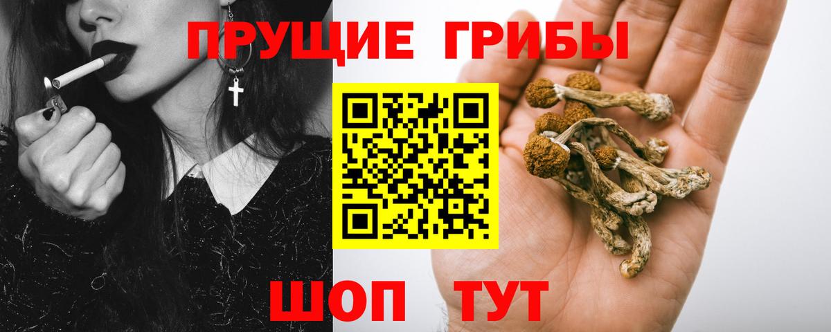 Галлюциногенные грибы Magic Shrooms Коряжма